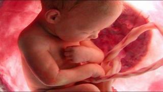 الوقت المحدد الذي يجب فيه أن تشعر الأم بالحركات الأولى لجنينها