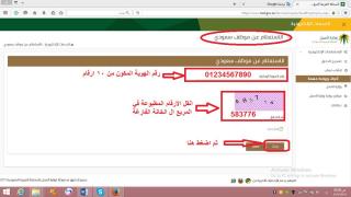 الاستعلام عن موظف سعودي بالتامينات وزارة العمل 1438