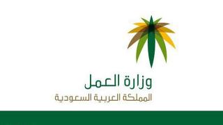 وزارة العمل والعمال : مناقشة قرار إلغاء رسوم مكتب العمل السنوية
